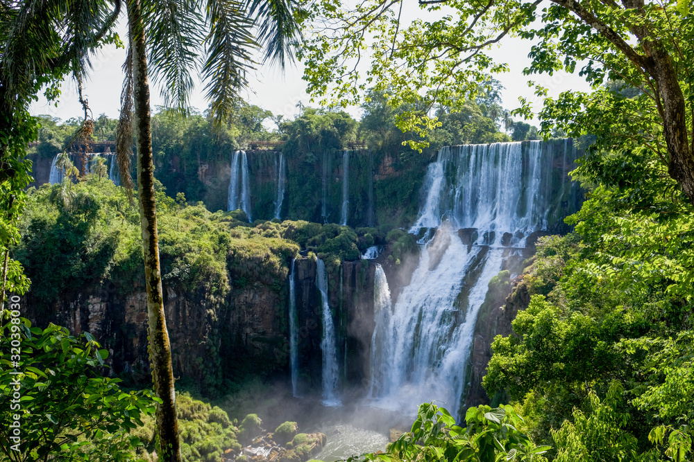 Iguazu Wasserfälle mit Palme