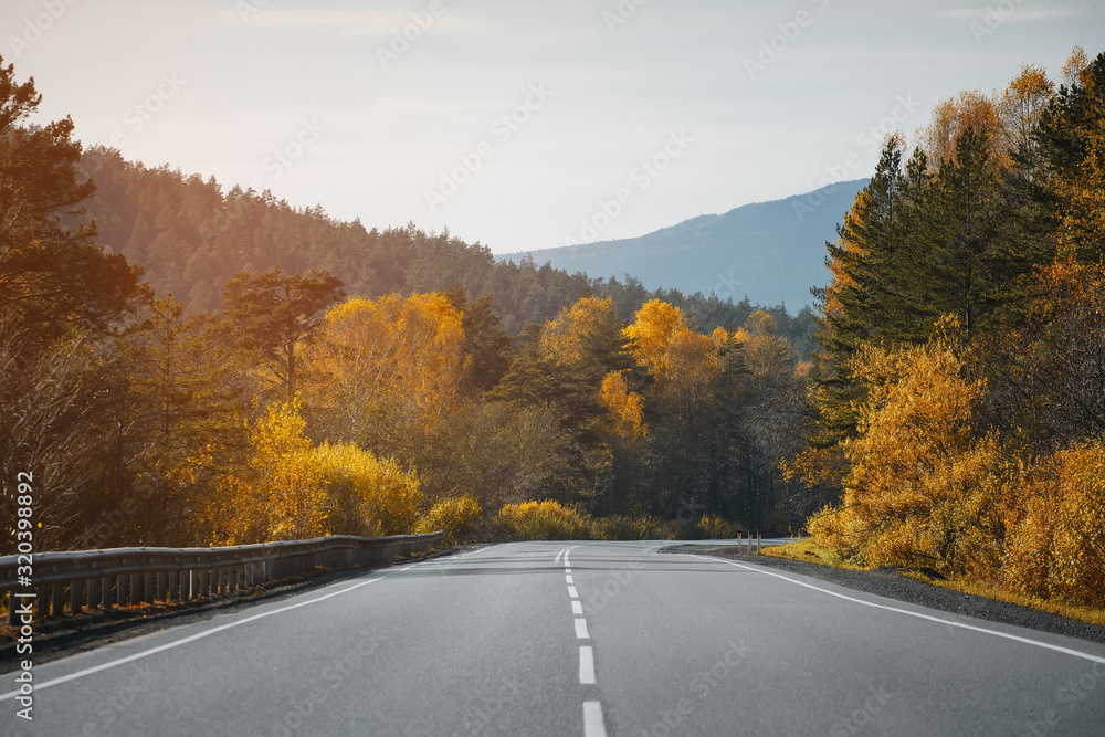 Country road. Forest. Autumn season.