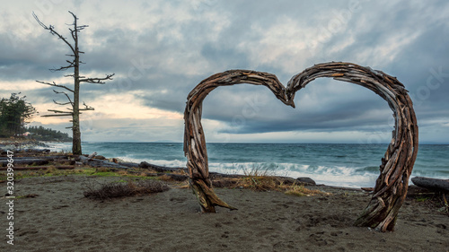 Drift wood heart at Kin Beach Provincial Park in Courtenay British Columbia Canada