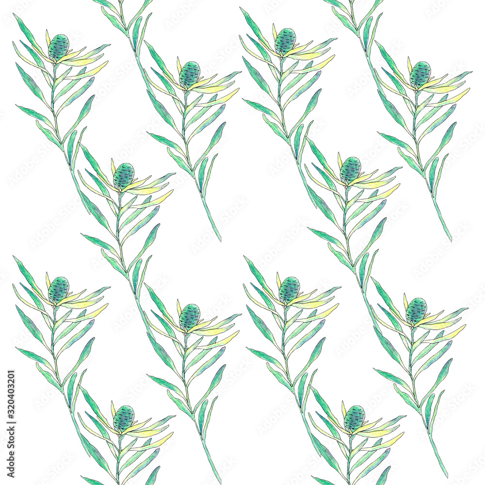 seamless watercolor pattern with grass and leaves on a white background. seamless watercolor pattern with grass and leaves on a white background.