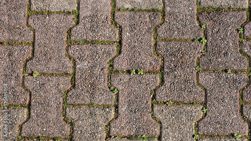 Texture of pavement with moss, grass or weeds. Background with free space for text