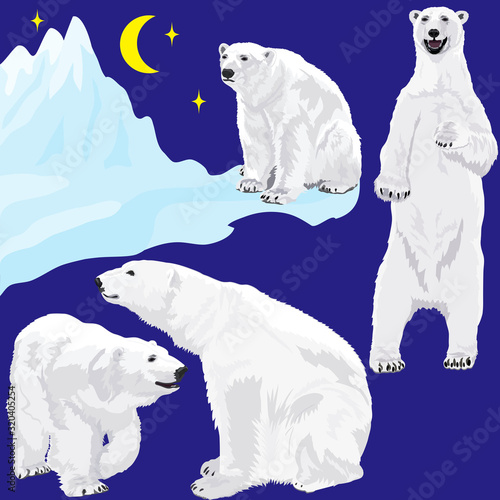Polar bears at blue