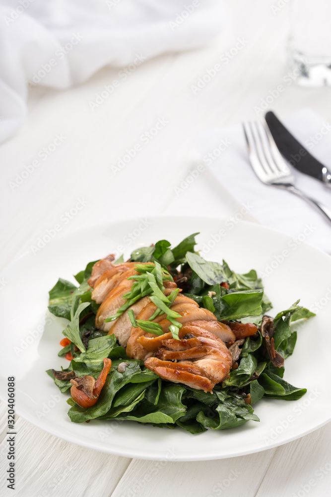 duck breast with sauce. Baked chicken breast with spinach and herbs. Close up of duck breast. Thin sliced chicken breast. duck breast with sauce. Baked chicken breast with spinach and herbs. Close up of duck breast. Thin sliced chicken breast.