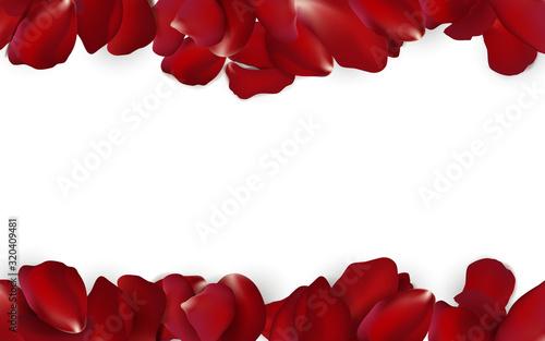 Falling red rose petals seasonal confetti, blossom elements isolated on white background. Abstract floral background with beauty roses petal. design for greeting cards.