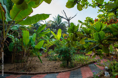 Awe  park near  small garden in South India photo