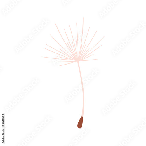 Dandelion seed floral element flat vector illustration isolated on white background