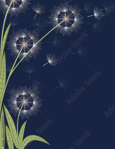 Dandelions flowers with flying seeds on dark blue background flat vector vertical illustration