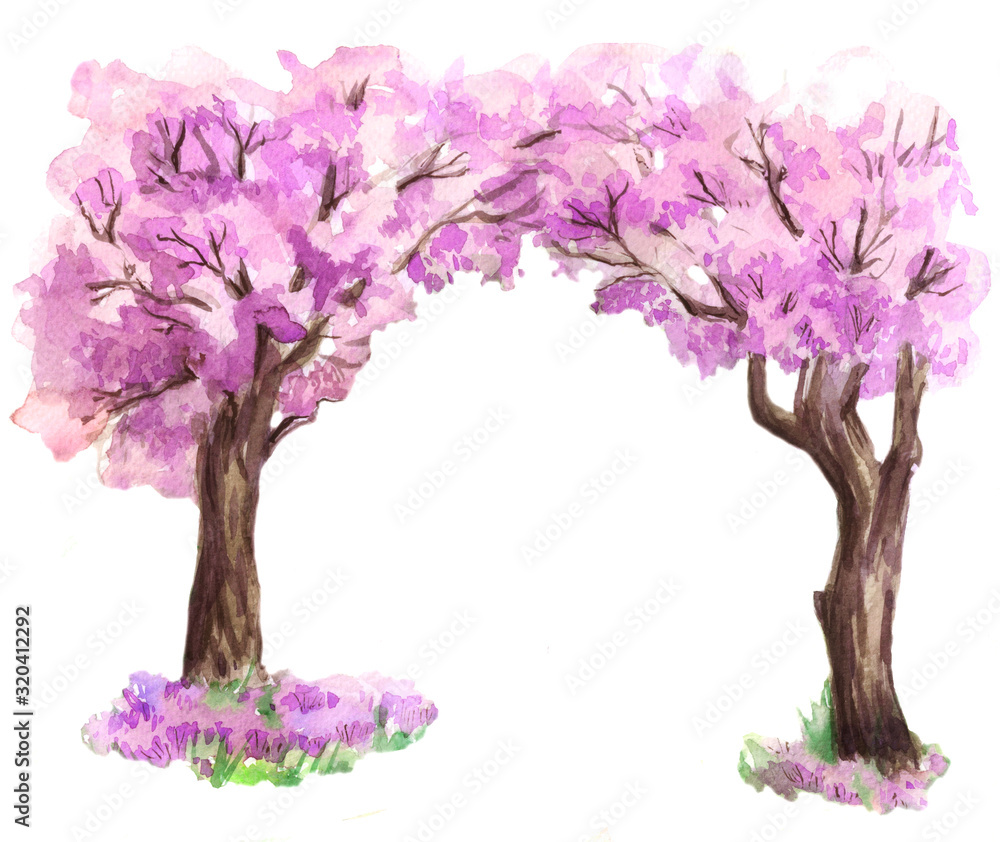 Sakura Trees blooming isolated. Hand drawn. Watercolor illustration