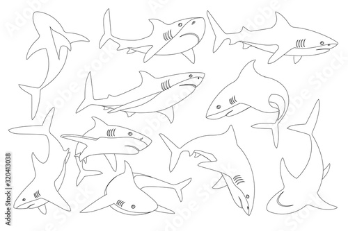 Set of shark with mouth closed in different poses Shark with mouth closed giant apex predator outline style cartoon animal design flat vector illustration isolated on white background