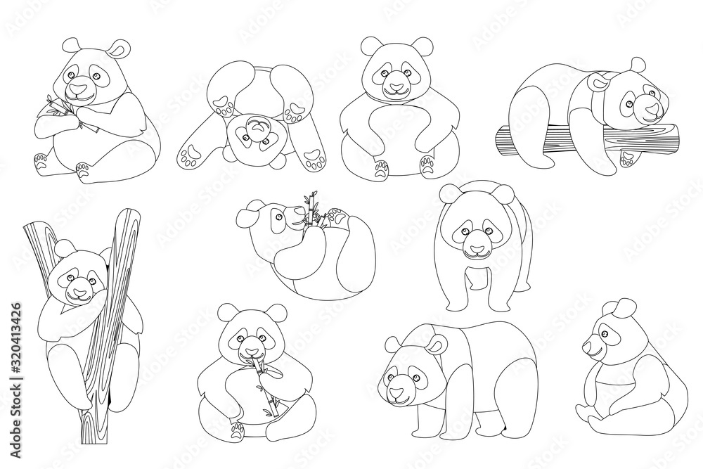 Set of cute big panda in different poses cartoon animal design outline style flat vector illustration