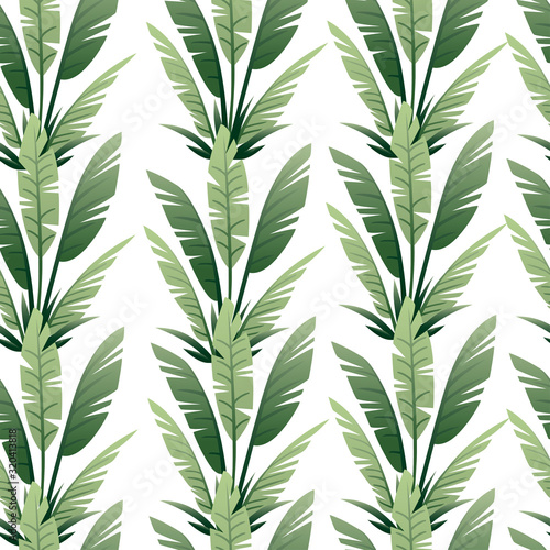 Seamless pattern of tropical leaves exotical jungle leaf vector floral element vector illustration on white background