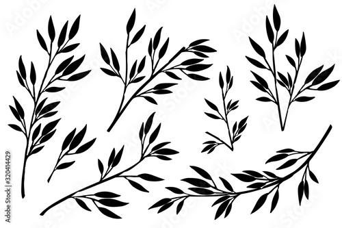 Black silhouette set of hand drawn tree branches with leaves botanical flowers floral hand drawn scandinavian style art design element flat vector illustration