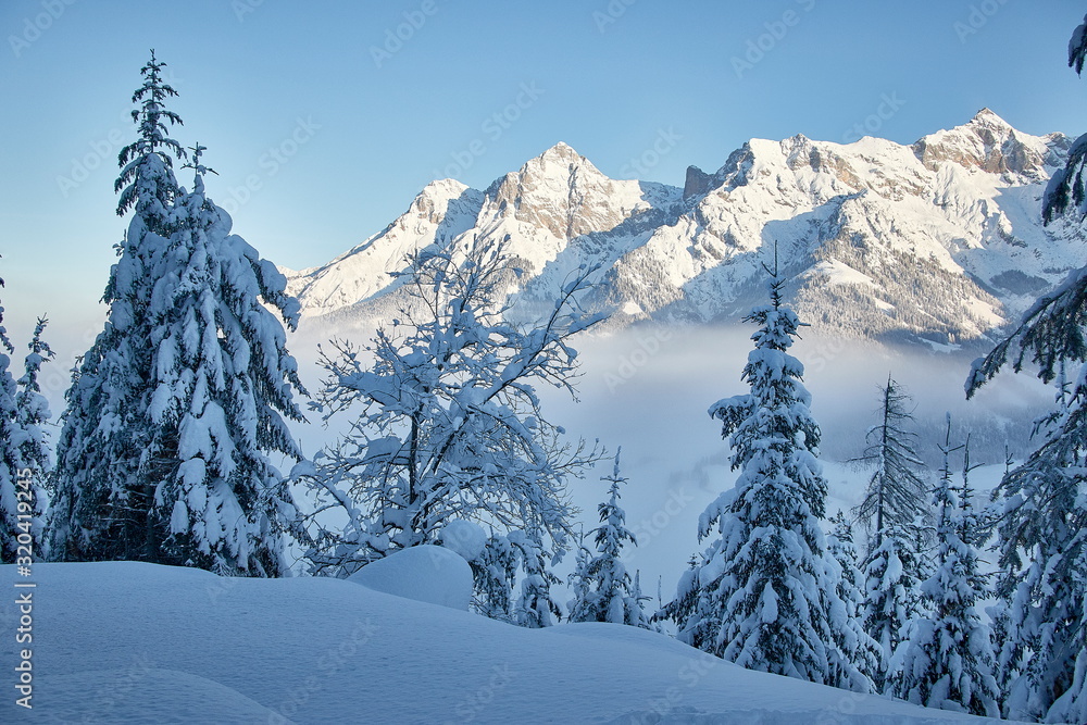 snowy mountain winter scenic landscape 