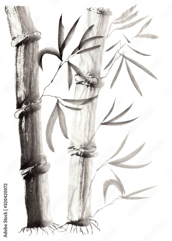 Fototapeta Floral illustration in Japanese folk painting style Sumi-e. Monochrome hand drawn fantasy stalks and leaves of bamboo isolated on a white background. Batik, book cover, tee shirt print, greeting card
