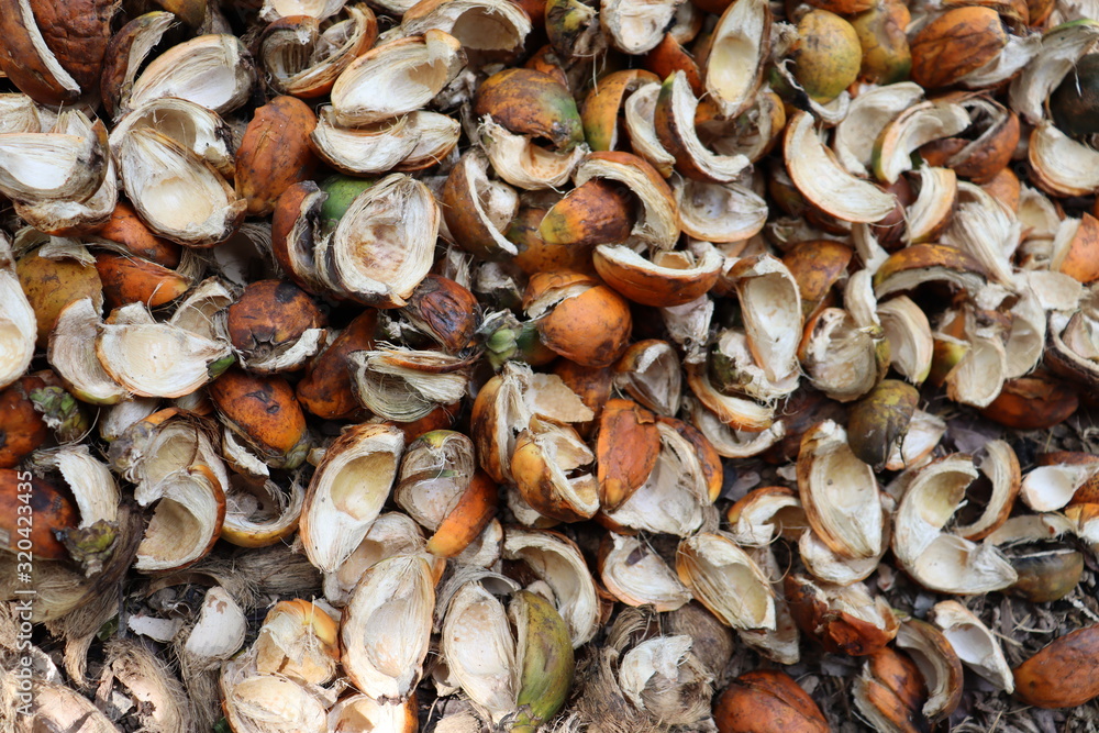 clams in the market clams in the market