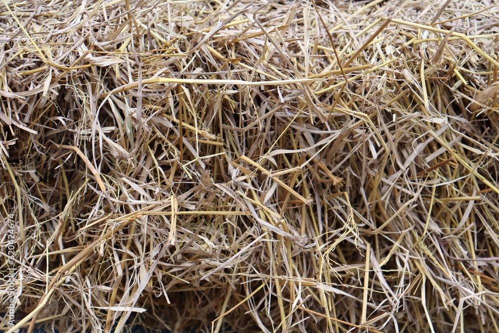 background of straw background of straw
