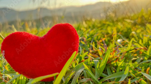 inspirational photo of red heart shape tiny pillow with nature background