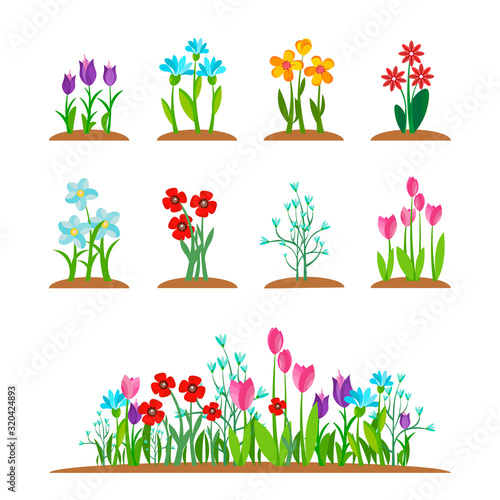 Early spring garden blossom flowers, grass isolated on white. Spring nature plant set. Simple garden flower bouquet in summer time. Vector illustration