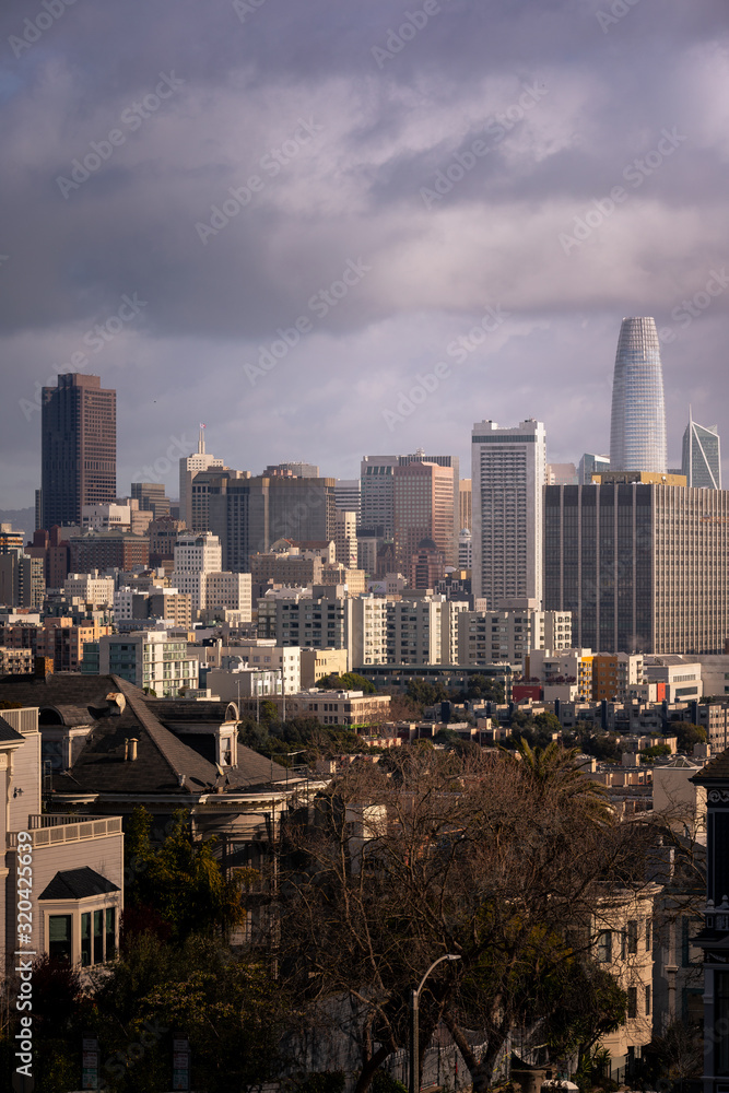 Fototapeta premium View from the skyscrapers of San Francisco's downtown from the hills of the city, in California, United States.