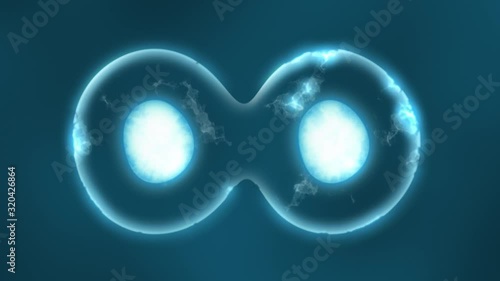 Cell division or cloning cells. Stem cells dividing under the microscope. Cloning close up. Mitosis in process. 4K Quality Animation