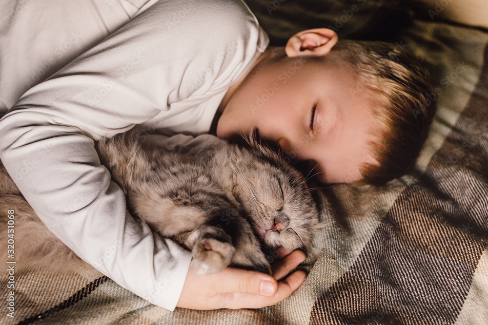 Boy and cat. Scottish fold cat in the arms of a boy. The concept of a pet in family education and a loving home. Horizontal. Boy and cat. Scottish fold cat in the arms of a boy. The concept of a pet in family education and a loving home. Horizontal.