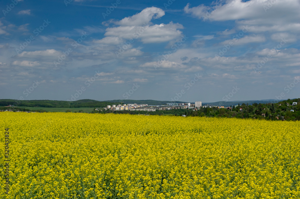Brno-Zebetin landscape view during spring with rape field in the foreground Brno-Zebetin landscape view during spring with rape field in the foreground