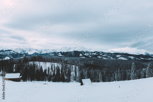 Landscape of mountain village around forest. Snow, clouds. Winter time. Slovakia