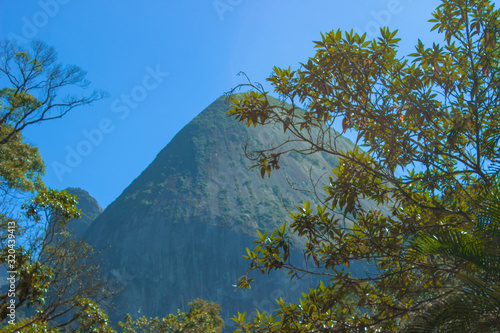 tree in big mountains