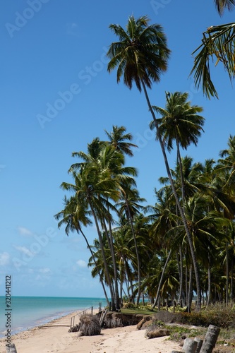 Porto de Pedras   Alagoas   Brazil. December  1  2019. Praia do Patacho on the north coast of the state of Alagoas  in northeastern Brazil. The place is known for its vast coconut groves  strips of wh