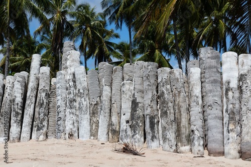 Porto de Pedras / Alagoas / Brazil. December, 1, 2019. Praia do Patacho on the north coast of the state of Alagoas, in northeastern Brazil. The place is known for its vast coconut groves, strips of wh