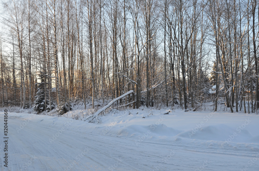 Winter time in Tampere forest with nobody around. Tampere is a city in Pirkanmaa, southern Finland. It is the most populous inland city in the Nordic countries. Winter time in Tampere forest with nobody around. Tampere is a city in Pirkanmaa, southern Finland. It is the most populous inland city in the Nordic countries.