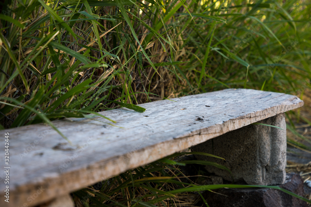 Fototapeta premium Lonely green bench