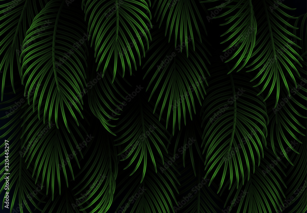Leaves and branches of palm trees. Tropical leaf background. Branch palm realistic. Green foliage, tropic leaves pattern. vector illustration