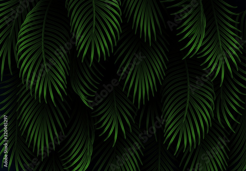 Leaves and branches of palm trees. Tropical leaf background. Branch palm realistic. Green foliage, tropic leaves pattern. vector illustration