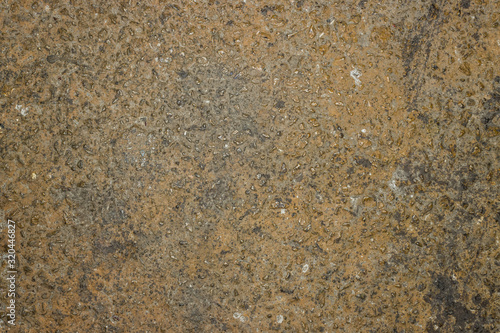 unfinished cement/concrete floor texture