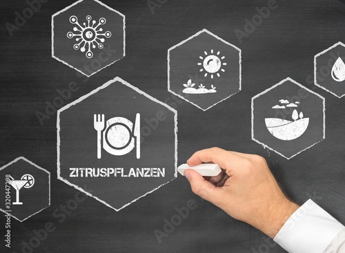 Zitruspflanzen photo