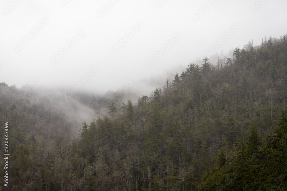 Foggy Ridgeline in Linville Gorge Foggy Ridgeline in Linville Gorge