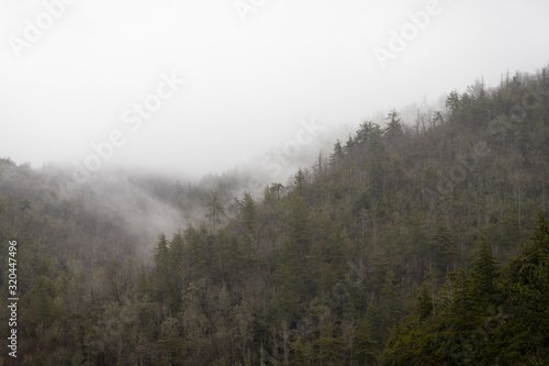 Foggy Ridgeline in Linville Gorge
