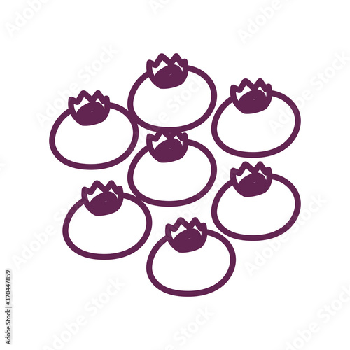 fresh blueberries fruits isolated icon