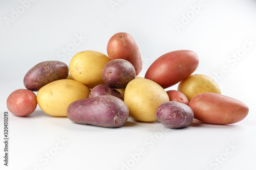 red purple yellow multi tri color small baby potato on white background photo