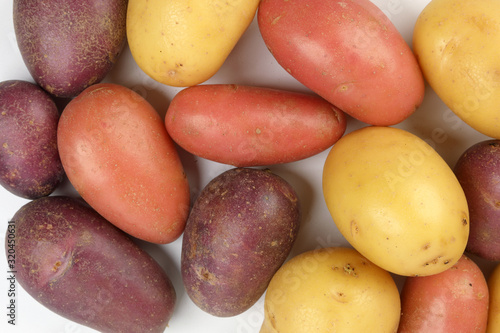 red purple yellow multi tri color small baby potato on white background