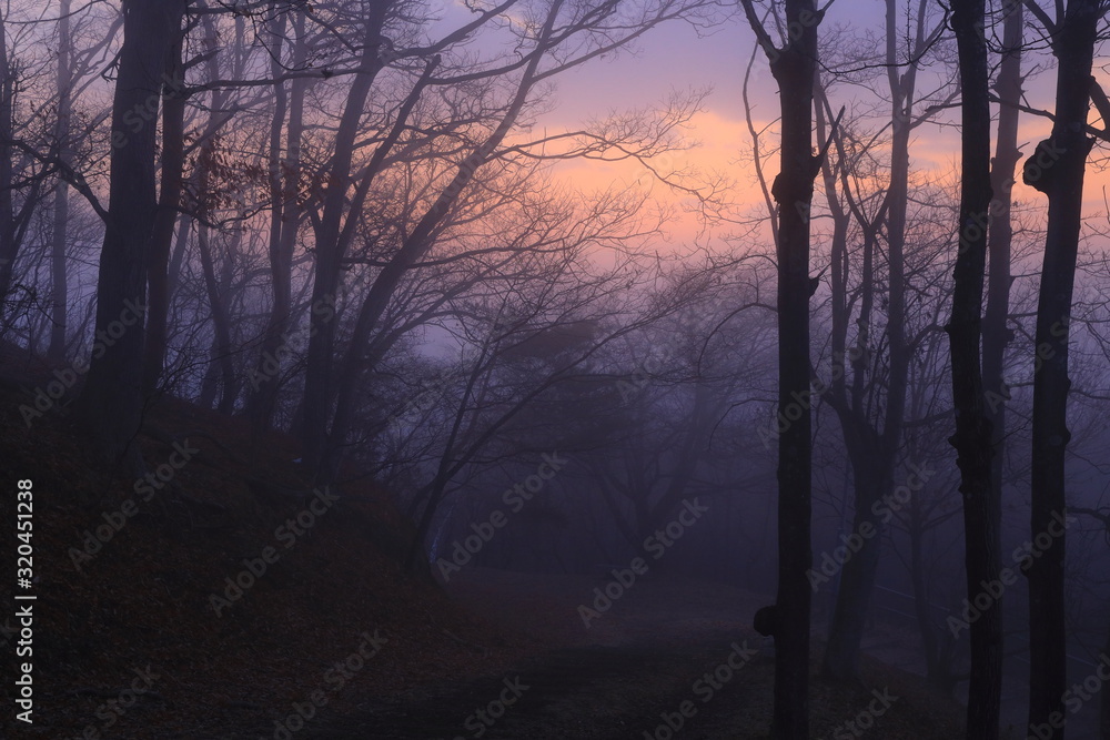 Fototapeta premium 岩手県 冬の朝焼け