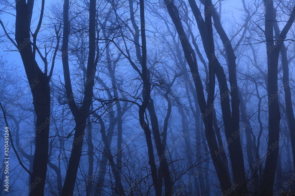 Obraz premium 岩手県 冬の朝焼け