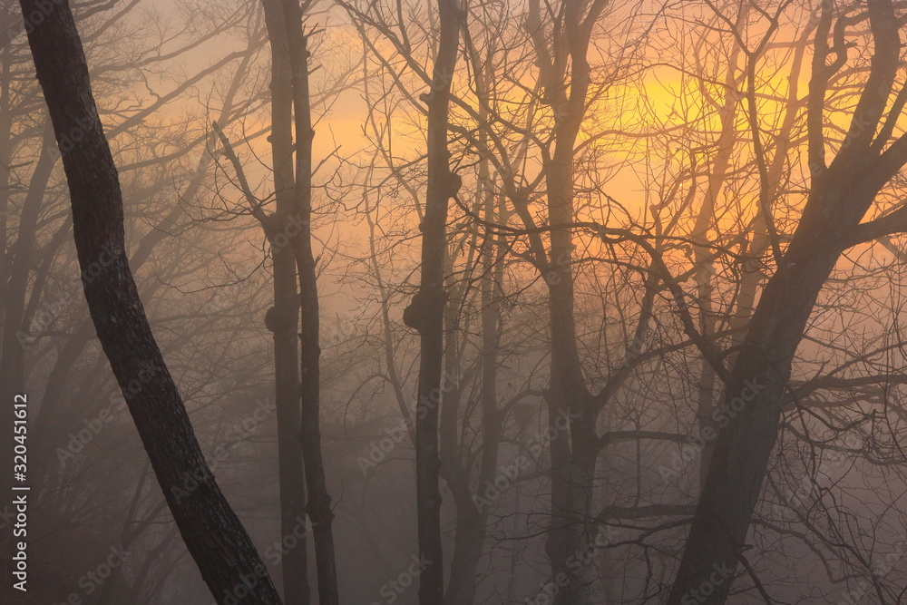 Obraz premium 岩手県 冬の朝焼け