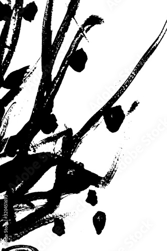 Fototapeta streszczenie czarny obrysu pędzla sylwetka akwarela rysunek tekstury farby na białym tle