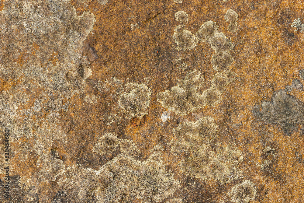 Texture of the rock. Stone texture background. Closeup and copy space. The patterns are created with nature. Texture of the rock. Stone texture background. Closeup and copy space. The patterns are created with nature.