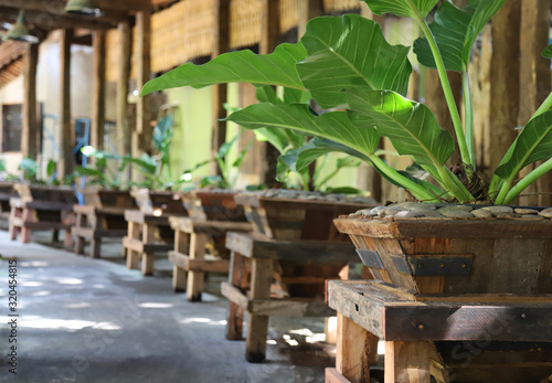 Image of designed wooden containers of green plants with walkway of the building.