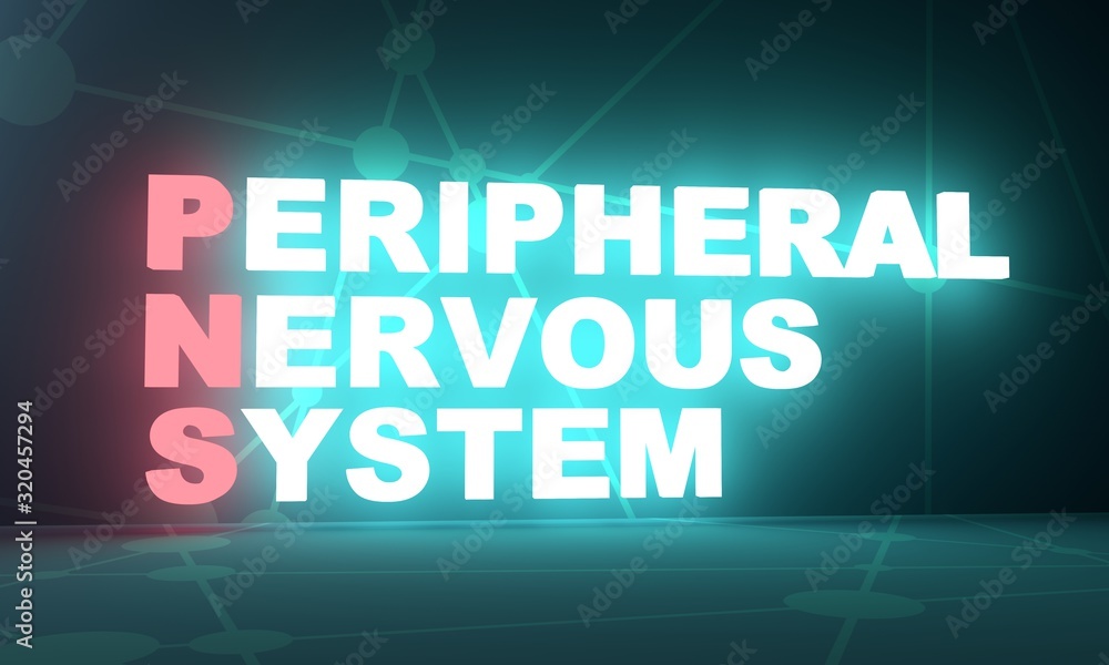 Acronym PNS - Peripheral Nervous System. Medical conceptual image. 3D rendering. Neon bulb illumination
