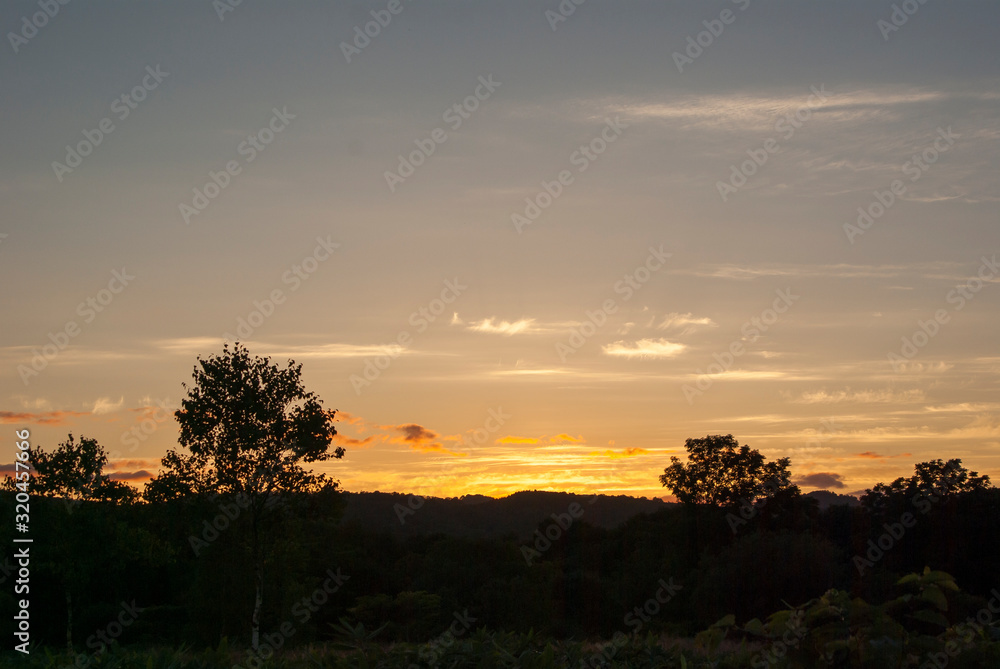 Fototapeta premium 輝く夕焼けの空