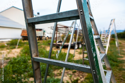 Ladders in the cherry orchard. Close-up view of a metallic ladder standing in the garden. Selective focus. Group of ladders at the background